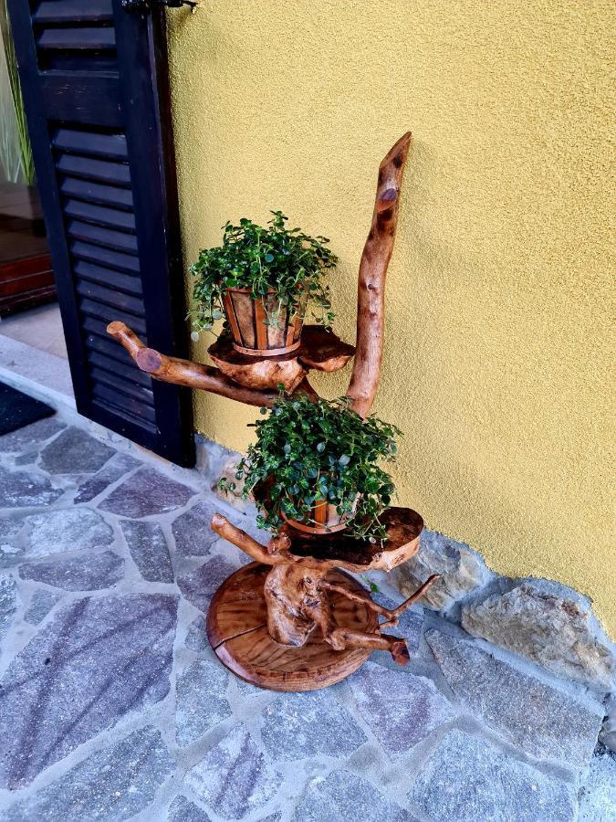 Casa Villanova Homes Nova Vas nad Dragonjo 外观 照片